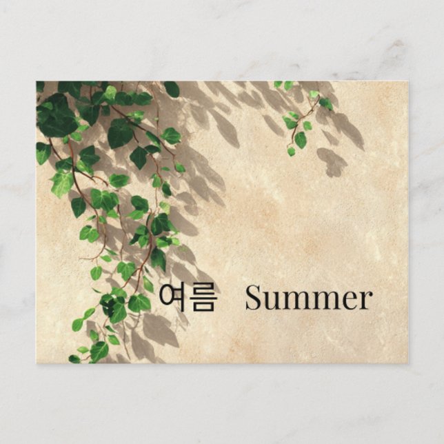 Minimal Ivy Summer Botanical Postcard Korean Engli (Front)