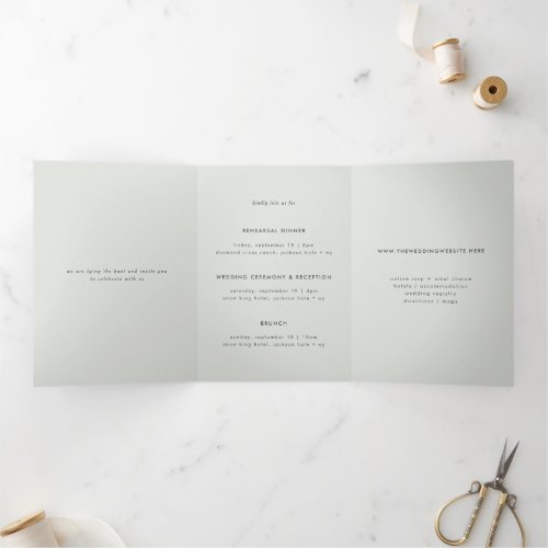 Minimal Light Gray Multi_Event Wedding Invitation