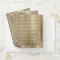 Minimal Metal Stripe Gold ID792