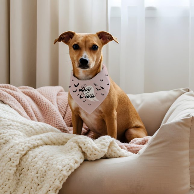 Minimal Modern Boo Crew Fun Halloween Ghost & Bats Pet Bandana Collar (Minimal Modern Boo Crew Fun Halloween Ghost & Bats Pet Bandana Collar)