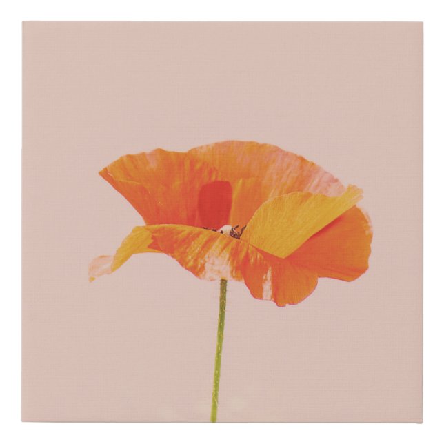Minimal Orange Flower Photography Faux Canvas Print (Front)