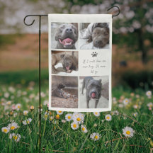 Minimal Pet Photo Memorial