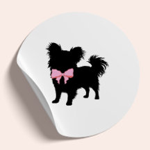 Minimal Pet Silhouette Dog Grooming Classic