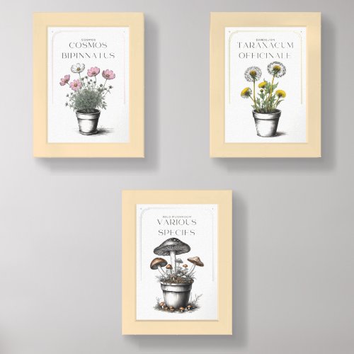 Minimal Rustic Cosmos Sketch Elegant Floral Desig Wall Art Sets