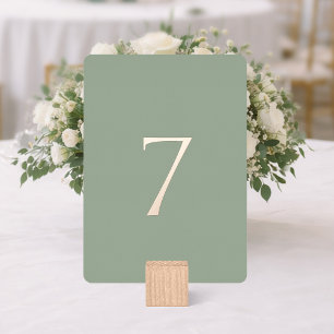Minimal Sage Green Wedding Table Number