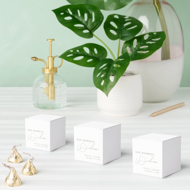 Minimal Sage Green Welcome Wedding Favor Boxes (Multiple)