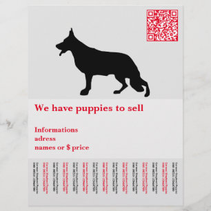 Minimal Shepherd Dog personalized Flyer