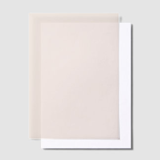 Minimal Solid Color Modern Pink Wedding Vellum Invitations