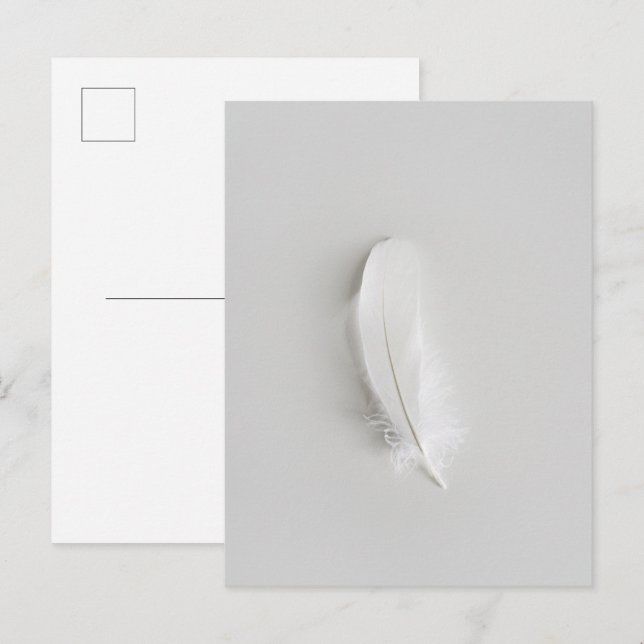 Minimal white feather postcard (Front/Back)