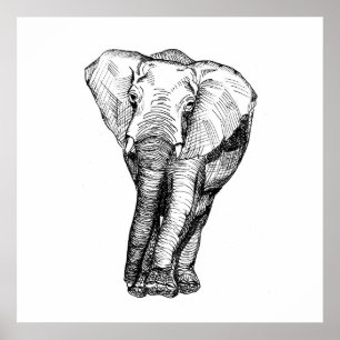 Minimalism black and white, animals, original poster