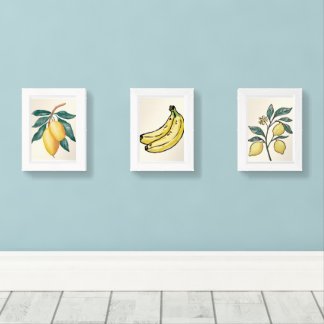 Minimalist 3 Watercolor of aesthetic yellow fruite Wall Art Sets