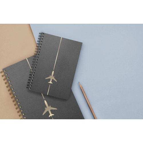 Minimalist Aviation Gold Airplane Notebook