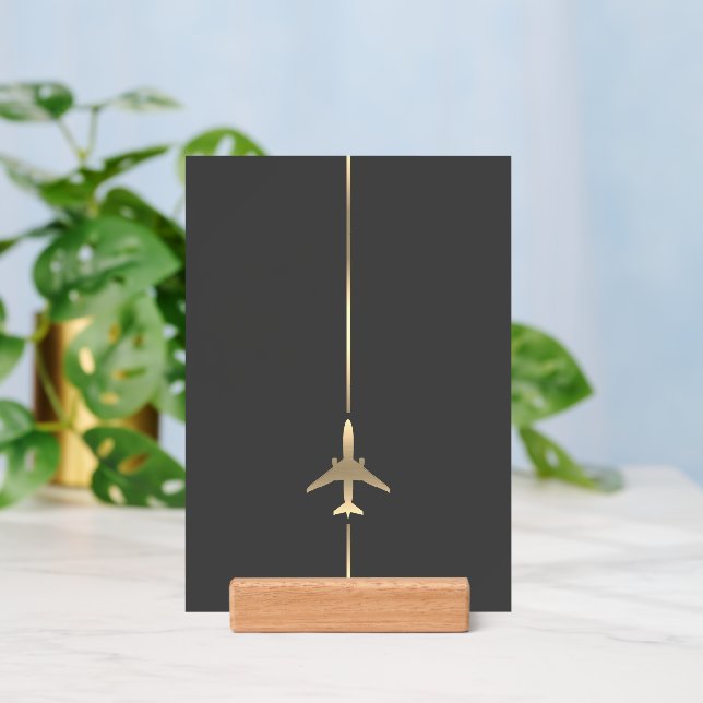 Minimalist Aviation Holder (Insitu 3)