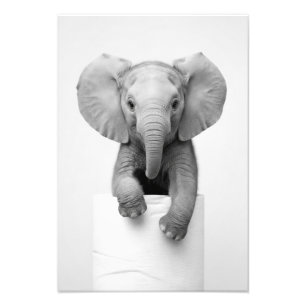 Minimalist Baby Elephant Peeking Over Toilet Paper Photo Print