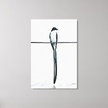 Minimalist Bird on Wire Photography