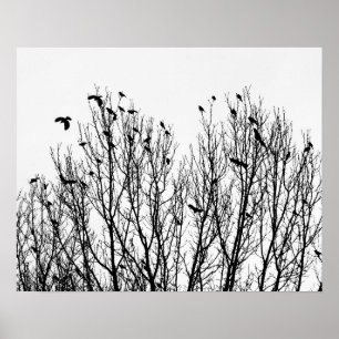 Minimalist Black and White Photo of Birds in Trees Poster
