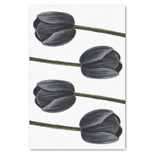 Minimalist Black Tulip Tissue Paper