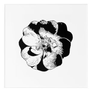 Minimalist Black & White Floral Acrylic Wall Art