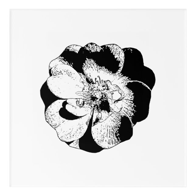 Minimalist Black & White Floral Acrylic Wall Art (Front)