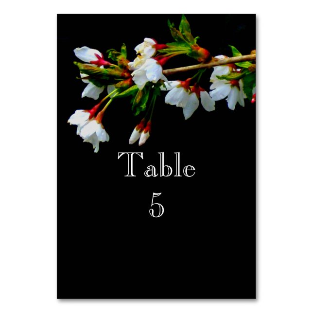 Minimalist Black White flowering Cherry Blossom Table Number (Front)