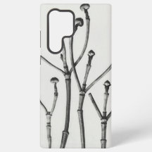 Minimalist Black & White Nature Photography