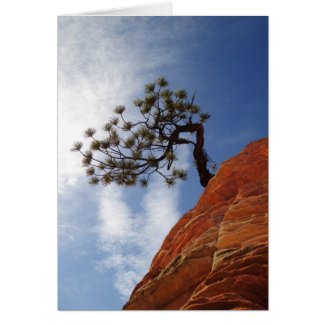 Minimalist Bonsai Tree Zion National Park Card