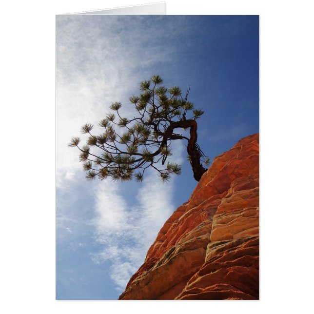 Minimalist Bonsai Tree Zion National Park Card (Front)