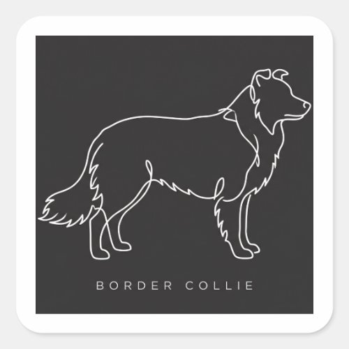 Minimalist Border Collie Line Art Dog Graphic  Square Sticker