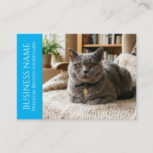 Minimalist British Shorthair Customizable Business Card