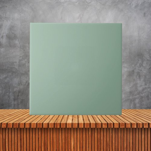 Minimalist Burmese Jade Green Plain Solid Color Ceramic Tile