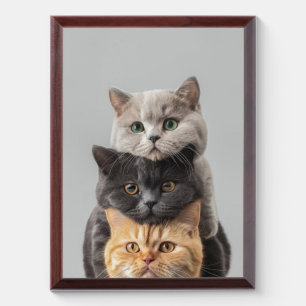 Minimalist Cat Line Art Wall Poster  Award Plaque