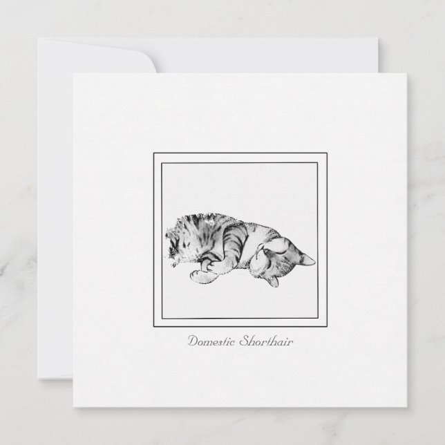 Minimalist Chalk & Charcoal Cat Sketch Note Card (Front)