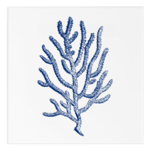 Minimalist Coral in Blue Acrylic Print