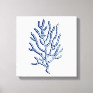 Minimalist Coral in Blue Canvas Print
