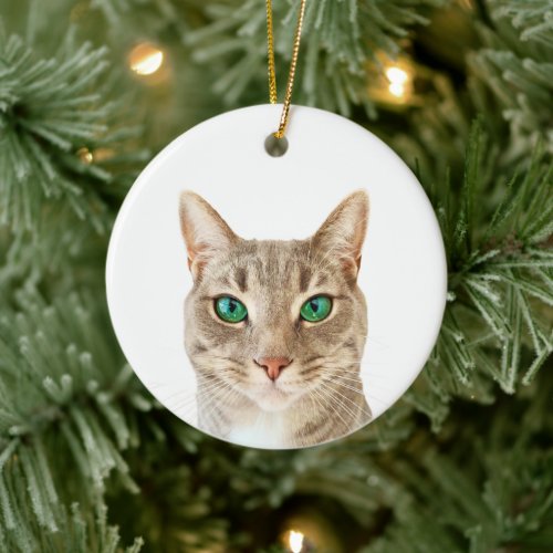 Minimalist Create Your Own Custom Pet Photo Ceramic Ornament