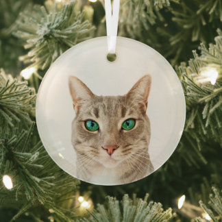 Minimalist Create Your Own Custom Pet Photo Glass Ornament
