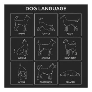 Minimalist Dog Body Language & Behavior Chart