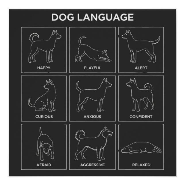 Minimalist Dog Body Language & Behavior Chart (Front)