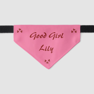 Minimalist Elegant Cute Cat Pet Bandana Collar