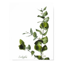 Minimalist Elegant Sage Eucalyptus Poster