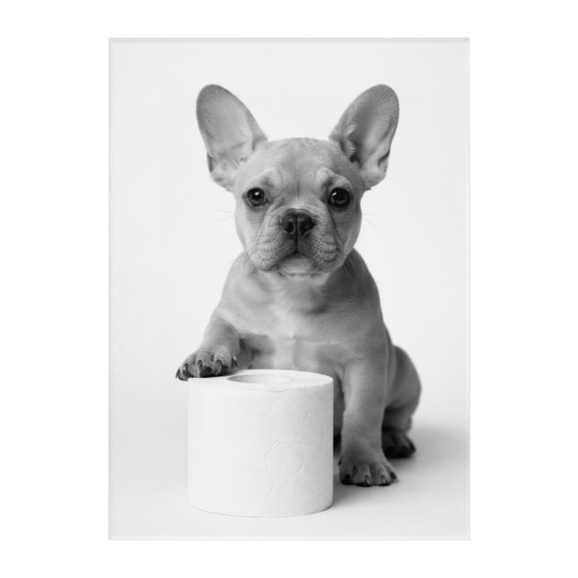 Minimalist Funny French Bulldog Guards ToiletPaper Acrylic Print (Front)