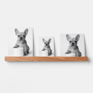 Minimalist Funny French Bulldog Guards ToiletPaper Picture Ledge