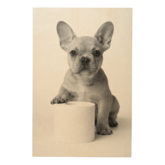 Minimalist Funny French Bulldog Guards ToiletPaper Wood Wall Art