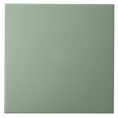 Minimalist Green Agate Square Plain Solid Color Ceramic Tile
