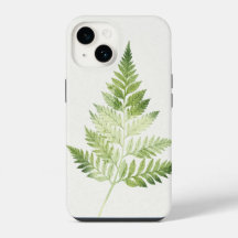 Minimalist Green Fern Botanical Illustration