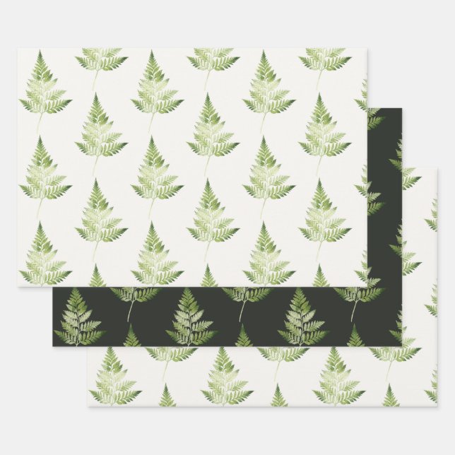 Minimalist Green Fern Botanical Illustration Wrapping Paper Sheets (Set)