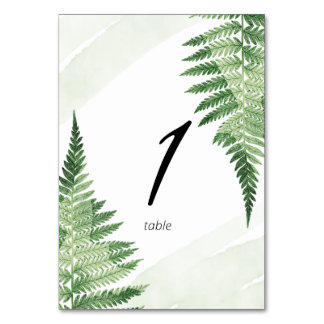 Minimalist Green Fern Table Number