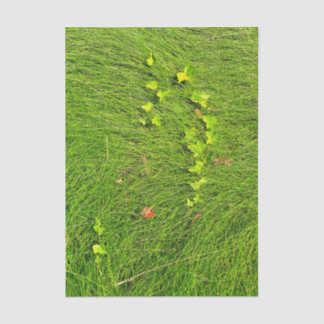 Minimalist Green Ivy in Flowing Grass Photograph Tissue Paper