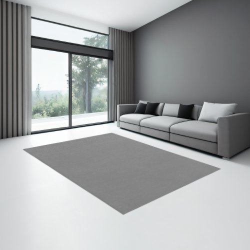 Minimalist Grey Solid Color Modern Elegant Chic Rug