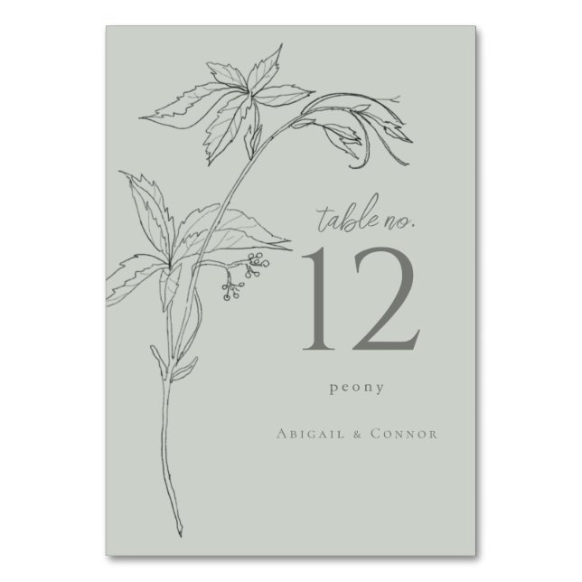 Minimalist Hand-drawn Vines Sage Green Gray Table Number (Front)